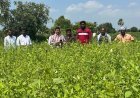 ప్రతి ఒక్క రైతు పంట నమోదు చేయించుకోవాలి