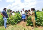 జనగామ జిల్లాలో 17 కొత్త మీ-సేవా కేంద్రాల ఏర్పాటుకు దరఖాస్తుల ఆహ్వానం