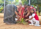 తల్లి పేరుపై ఒక మొక్క నాటుదాం..! పర్యావరణాన్ని కాపాడుదాం