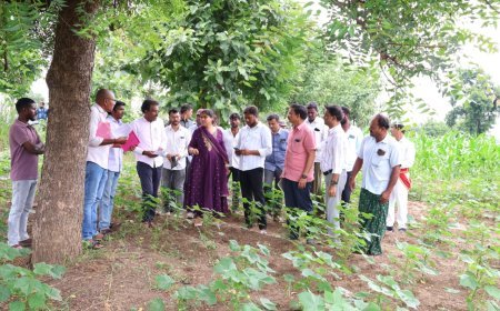 సన్న వడ్ల సాగుకు ప్రోత్సాహం – రైతులకు క్వింటాలుకు రూ.500 బోనస్