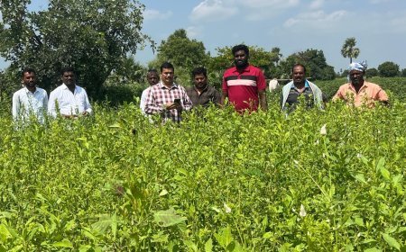 ప్రతి ఒక్క రైతు పంట నమోదు చేయించుకోవాలి