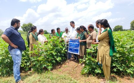 జనగామ జిల్లాలో 17 కొత్త మీ-సేవా కేంద్రాల ఏర్పాటుకు దరఖాస్తుల ఆహ్వానం
