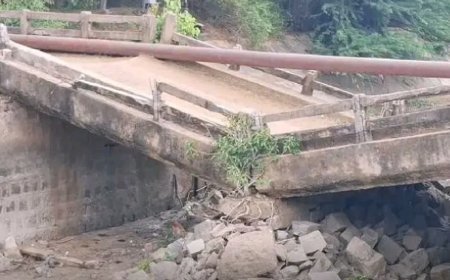 కూలిన బ్రిడ్జి ప్రమాదాలకు నిలయం