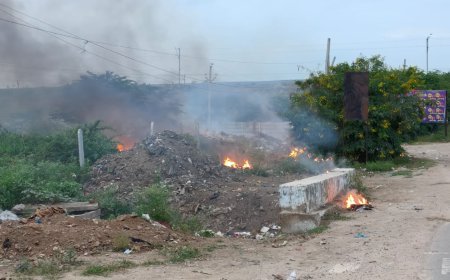 అబ్బో పొగ