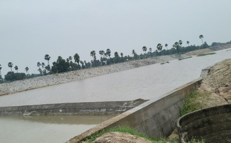 తాటిపాములలో  రైతుల కళ్ళల్లో ఆనందం