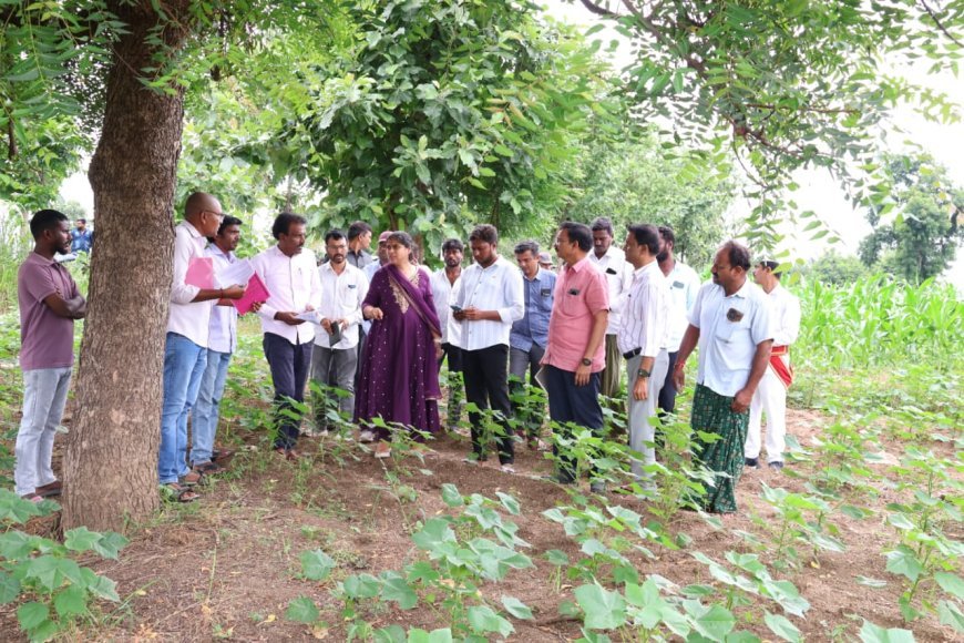 సన్న వడ్ల సాగుకు ప్రోత్సాహం – రైతులకు క్వింటాలుకు రూ.500 బోనస్