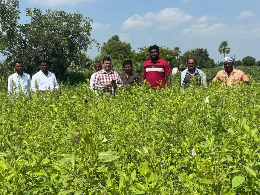 ప్రతి ఒక్క రైతు పంట నమోదు చేయించుకోవాలి