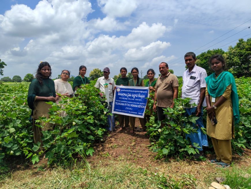 జనగామ జిల్లాలో 17 కొత్త మీ-సేవా కేంద్రాల ఏర్పాటుకు దరఖాస్తుల ఆహ్వానం