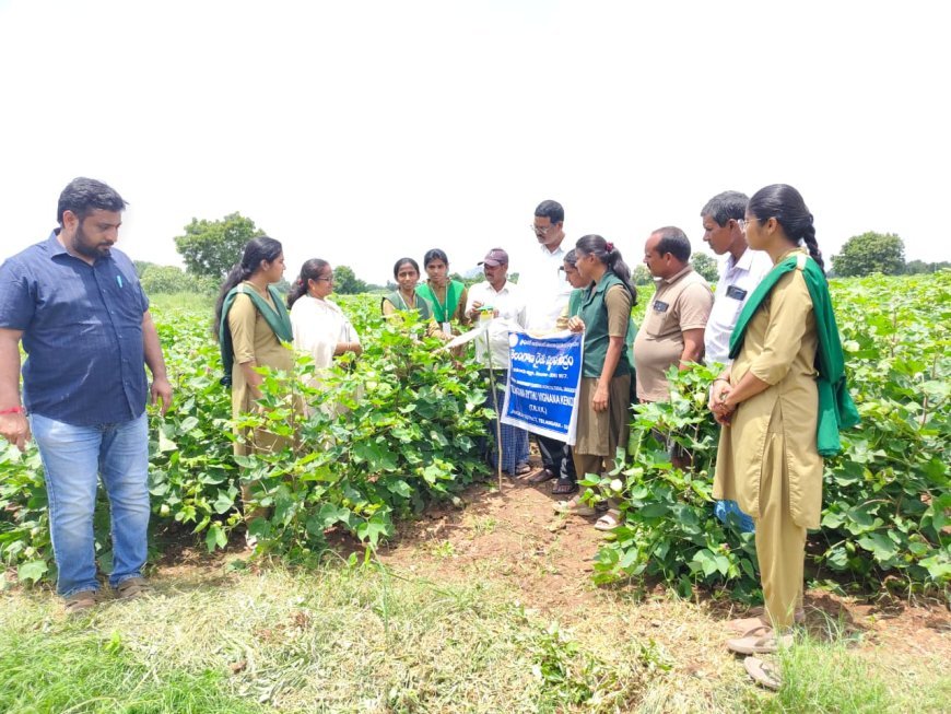 జనగామ జిల్లాలో 17 కొత్త మీ-సేవా కేంద్రాల ఏర్పాటుకు దరఖాస్తుల ఆహ్వానం