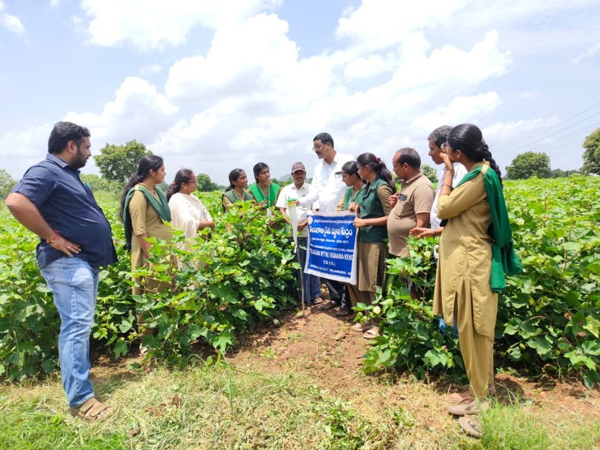 జనగామ జిల్లాలో 17 కొత్త మీ-సేవా కేంద్రాల ఏర్పాటుకు దరఖాస్తుల ఆహ్వానం