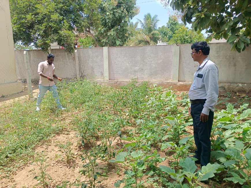 విద్యార్థుల చదువుల తీరుపై ఆరా - పదవ తరగతి విద్యార్థులకు దిశానిర్దేశం ఎంఈఓ రవీంద్రబాబు