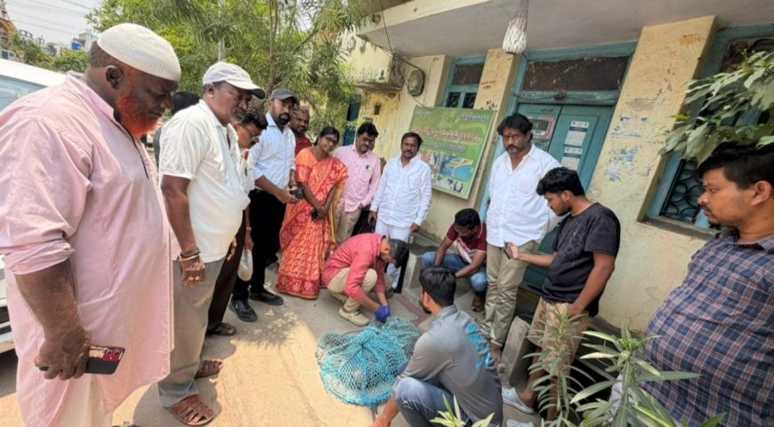 సూర్యాపేట పట్టణంలో బ్లూ క్రాస్ ఆఫ్ హైదరాబాద్ వారి సహకారంతో వీధి కుక్కల సంరక్షణకు ప్రత్యేక చర్యలు