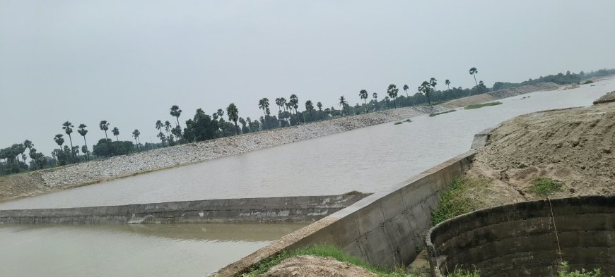 తాటిపాములలో  రైతుల కళ్ళల్లో ఆనందం