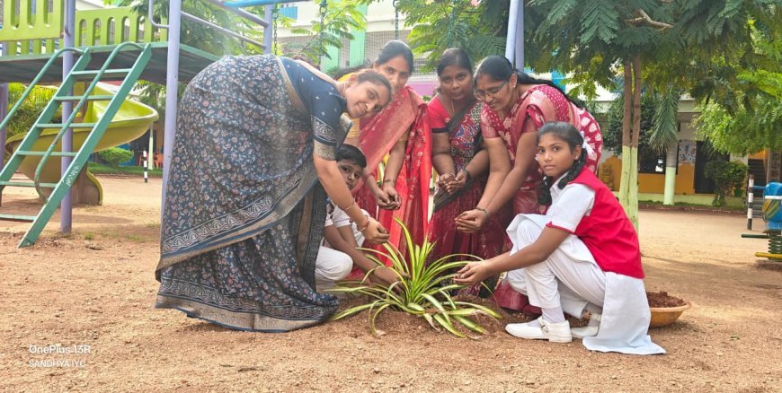 తల్లి పేరుపై ఒక మొక్క నాటుదాం..! పర్యావరణాన్ని కాపాడుదాం